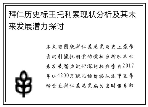 拜仁历史标王托利索现状分析及其未来发展潜力探讨